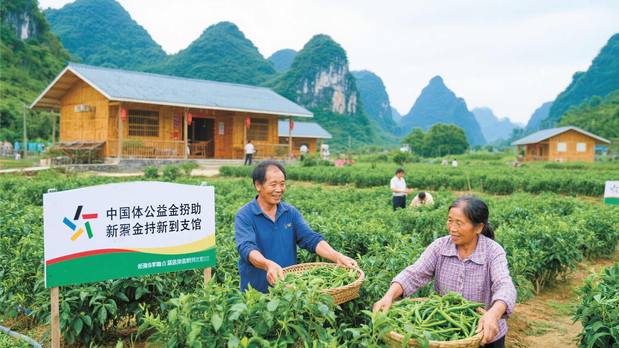 彩票公益金推动凌云县乡村振兴新发展 彩票公益金推动凌云县乡村振兴新发展