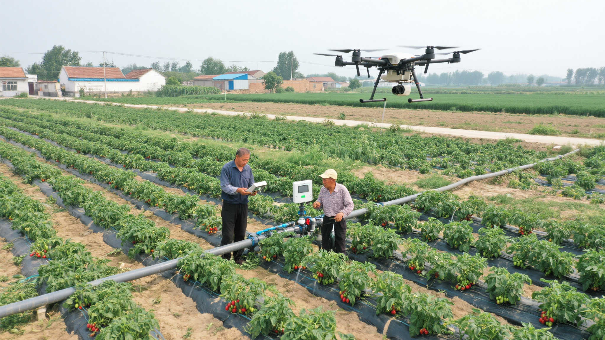 中央彩票公益金5亿元助延安宝塔区乡村振兴